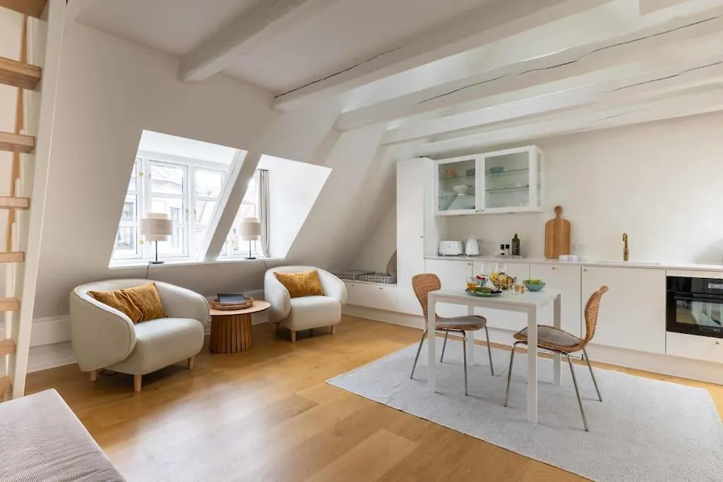 Super Cozy Apartment In Downtown Cph København 0*,  Danmark